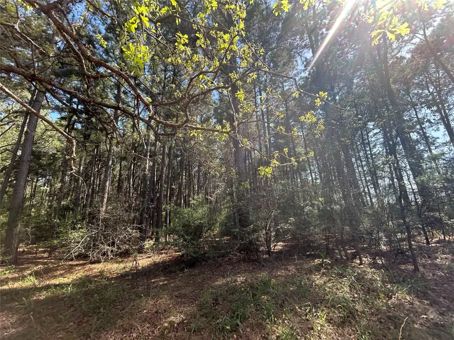 TBD 2303 An County Road, Montalba, TX 75853 - Image #3