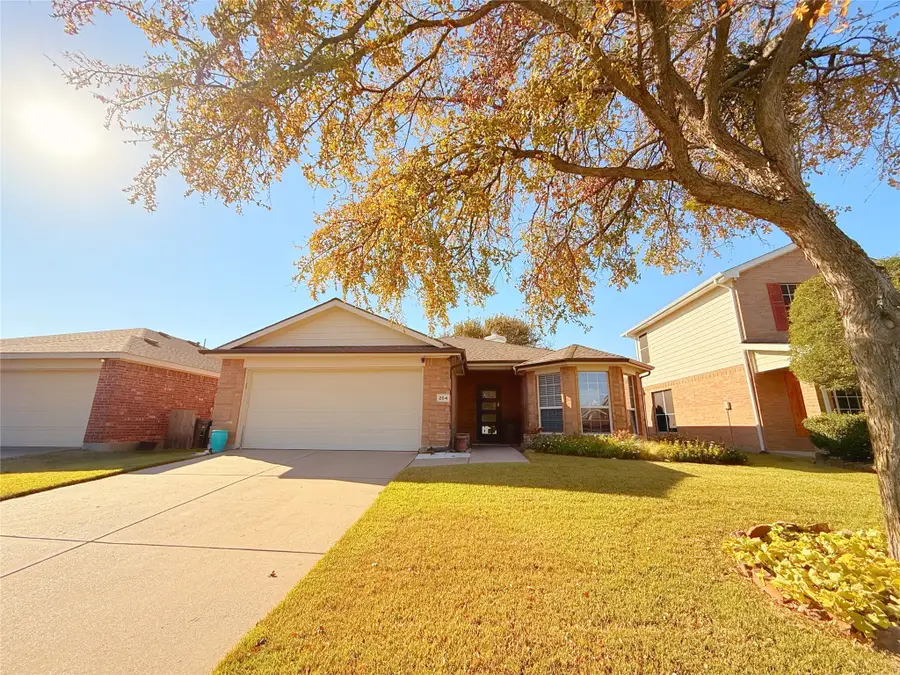 204 Bonsai Drive, Anna, TX 75409 - Image #3