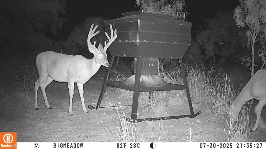 15100 County Road 129, Brownwood, TX 76801 - Image #2