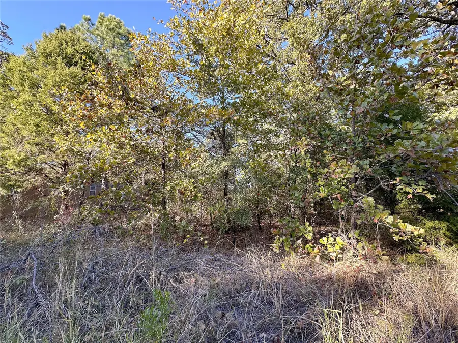 134 Thrush Road, Mabank, TX 75156 - Image #2