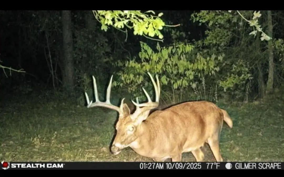 TBD Stag Road, Gilmer, TX 75644 - Image #1