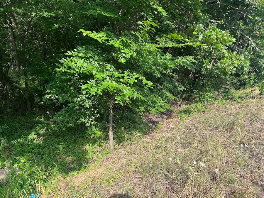 TBD Fm 751, Quinlan, TX 75474 - Image #2