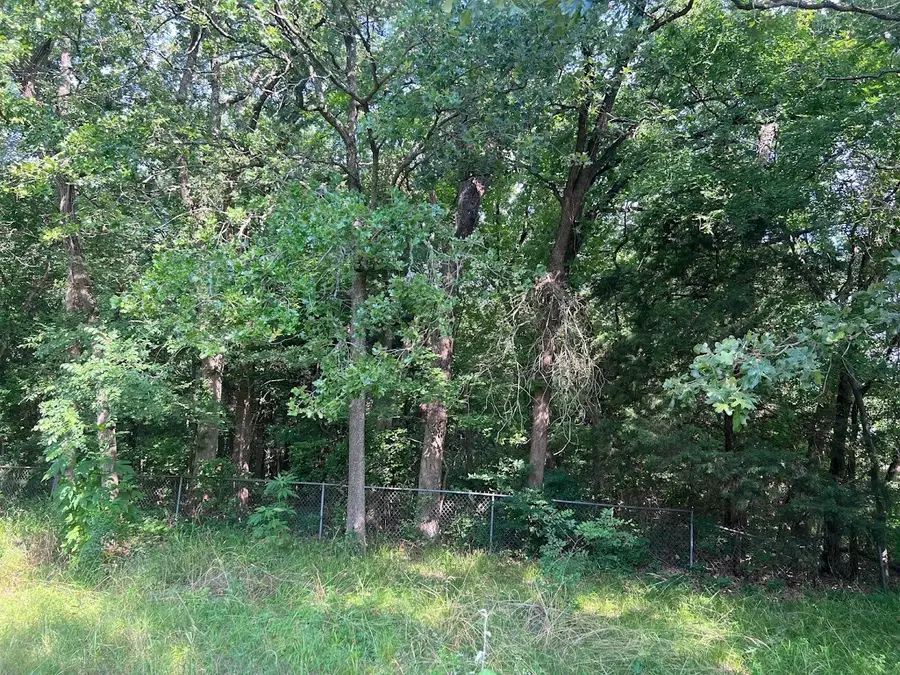 TBD Fm 751, Quinlan, TX 75474 - Image #3