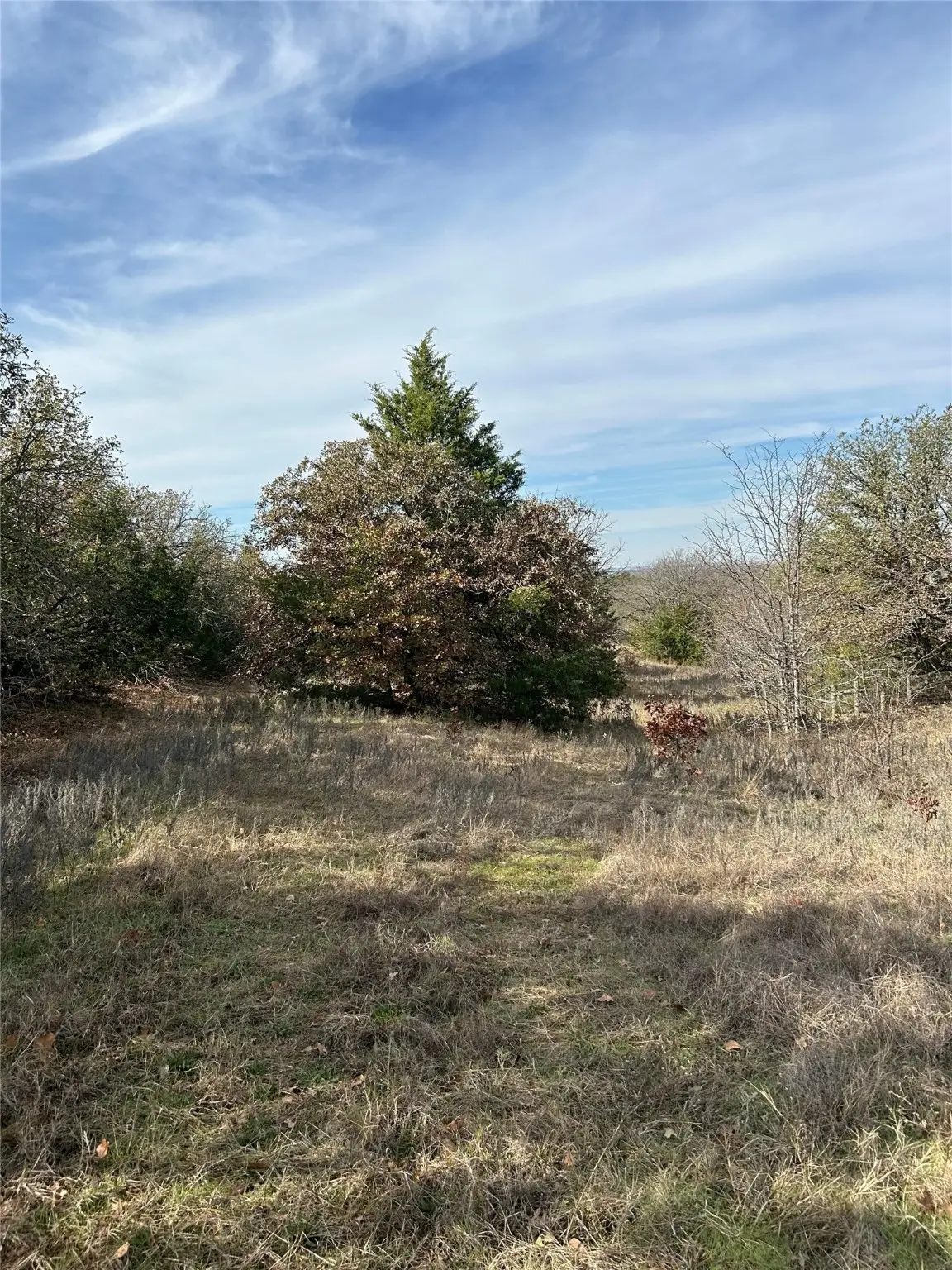 1721 Prarie Grove Rd, Valley View, TX 76272 - Image #1