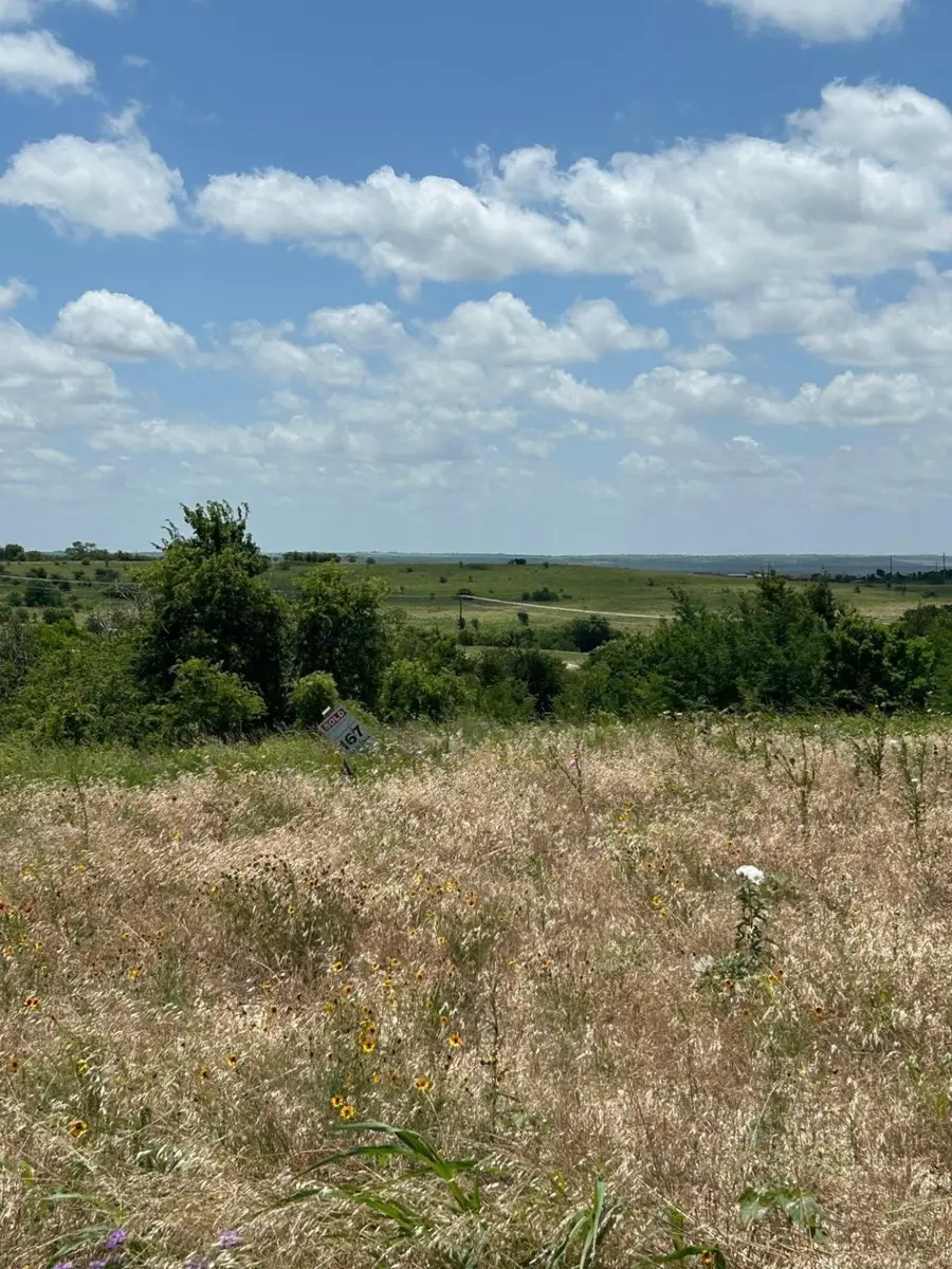 2517 Tom Chaney Drive #103, Cresson, TX 76035 - Image #3