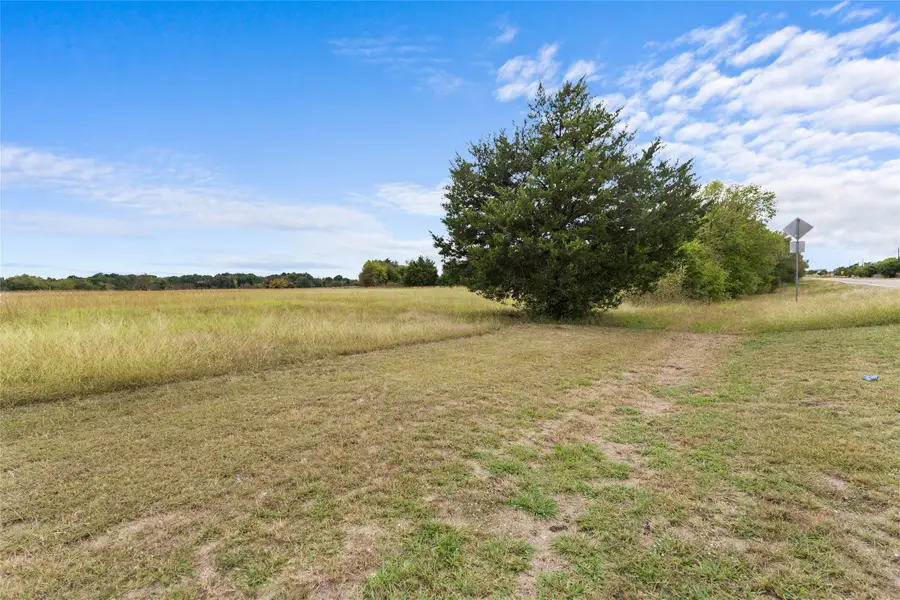 TBD Fm-36, Farmersville, TX 75442 - Image #3