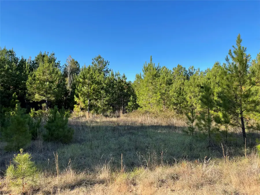 TBD Highway 155, Coushatta, LA 71019 - Image #2