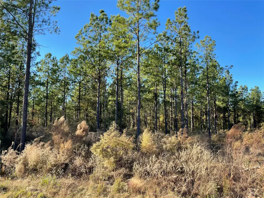 TBD Highway 155, Coushatta, LA 71019 - Image #3