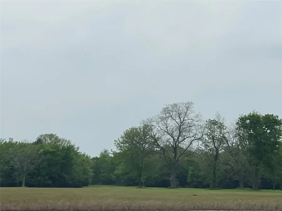 TBD Vzcr 4702, Ben Wheeler, TX 75754 - Image #3