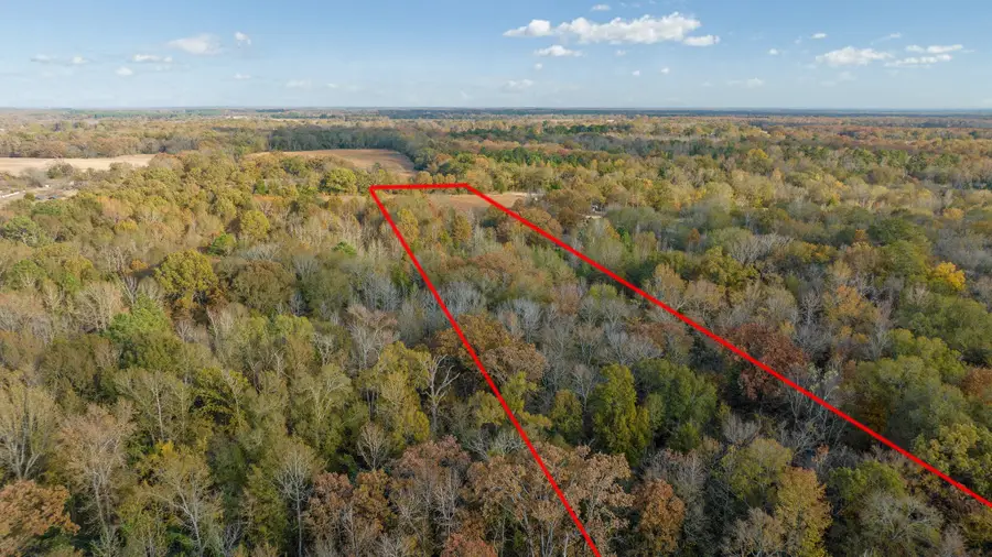 TBD County Road 1440, Bogata, TX 75417 - Image #2