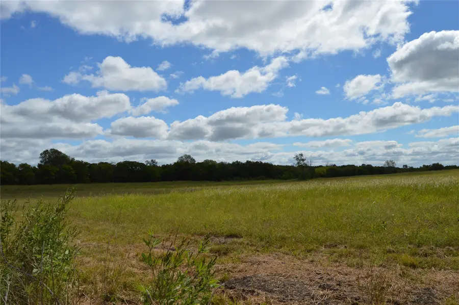 TBD Cr 2068, Klondike, TX 75448 - Image #2