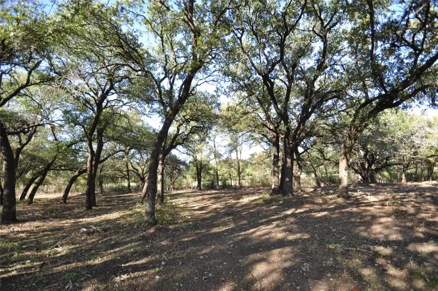 712 E Moore Street, Granbury, TX 76048 - Image #2