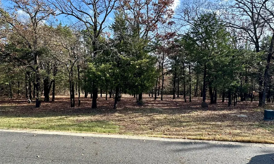 34D Dove Canyon Drive, Gordonville, TX 76245 - Image #3