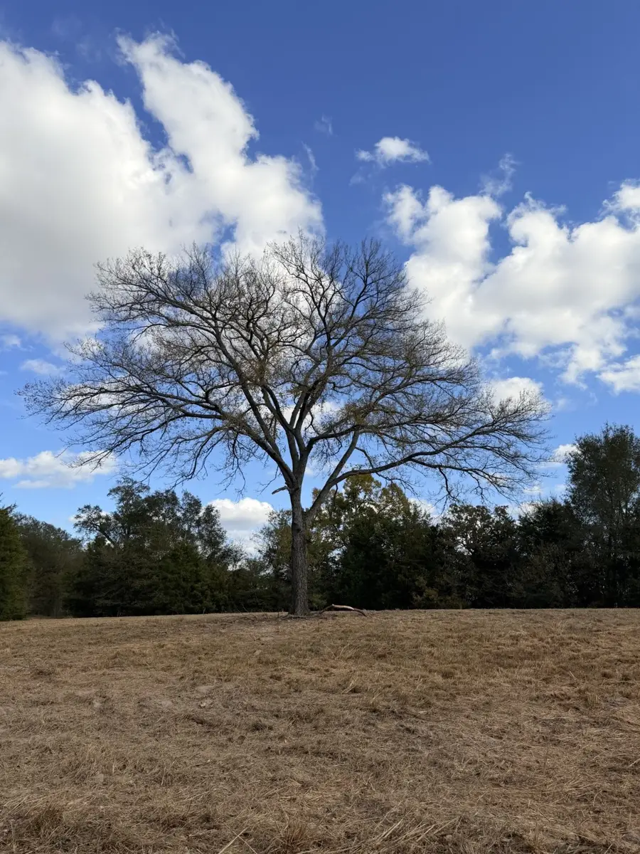 Lot #7 Rs County Road 1150, Emory, TX 75440 - Image #3