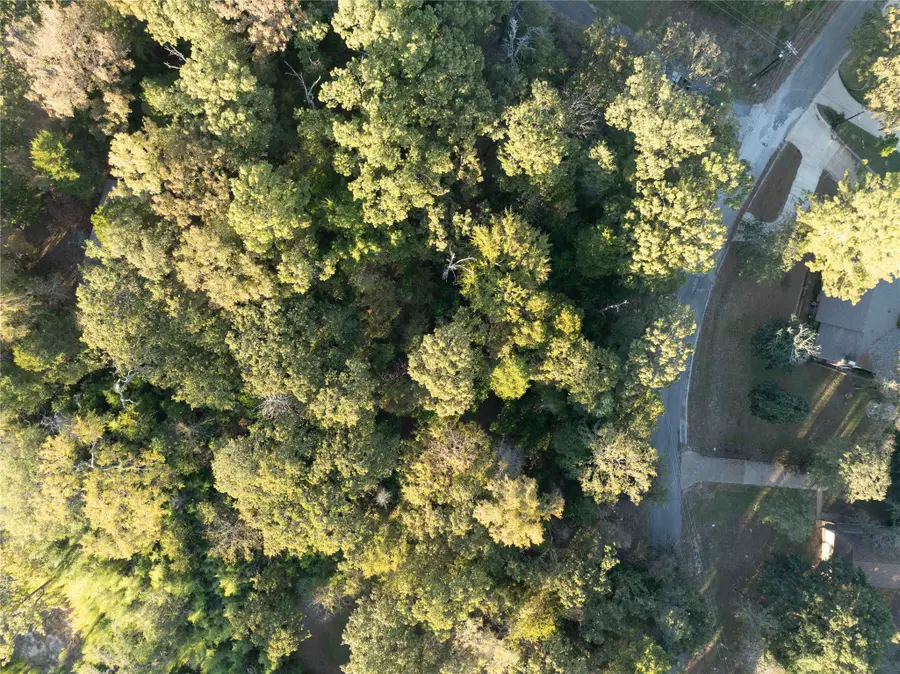 000 Callender Lake Drive, Murchison, TX 75778 - Image #2