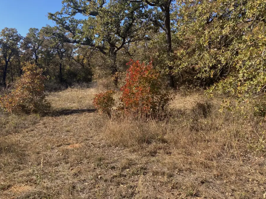 0000 Marley Road, Bryson, TX 76458 - Image #2