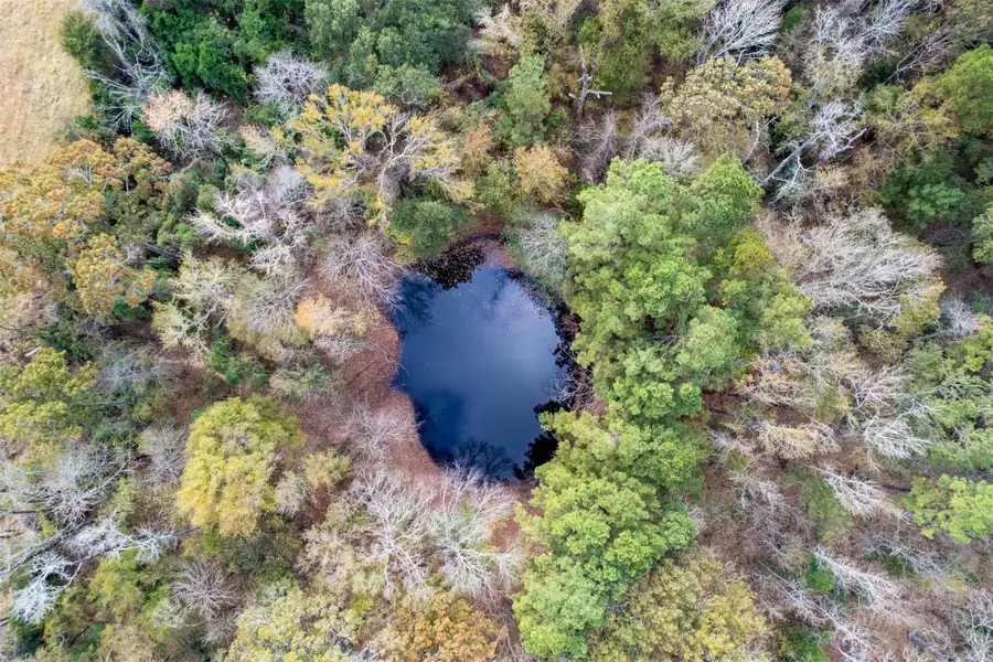 590 An County Road 169, Elkhart, TX 75839 - Image #3