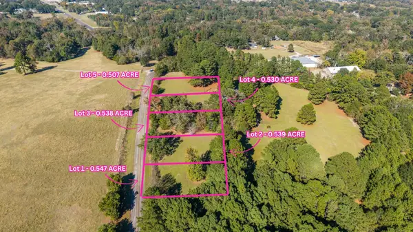 TBD County Road 2174 Lot 1, Whitehouse, TX 75791