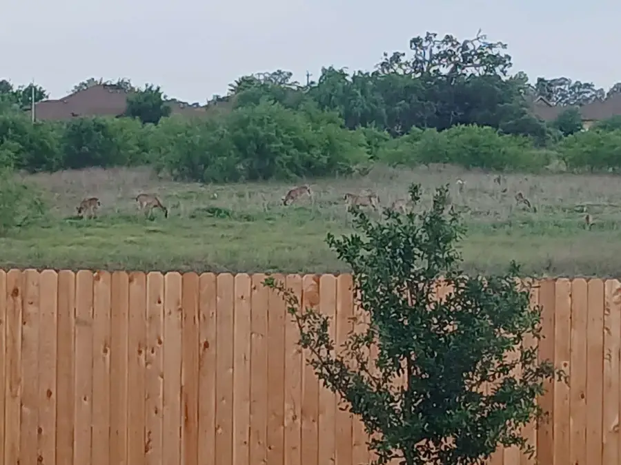 184 Cowboy Ridge, Pleasanton, TX 78064 - Image #2