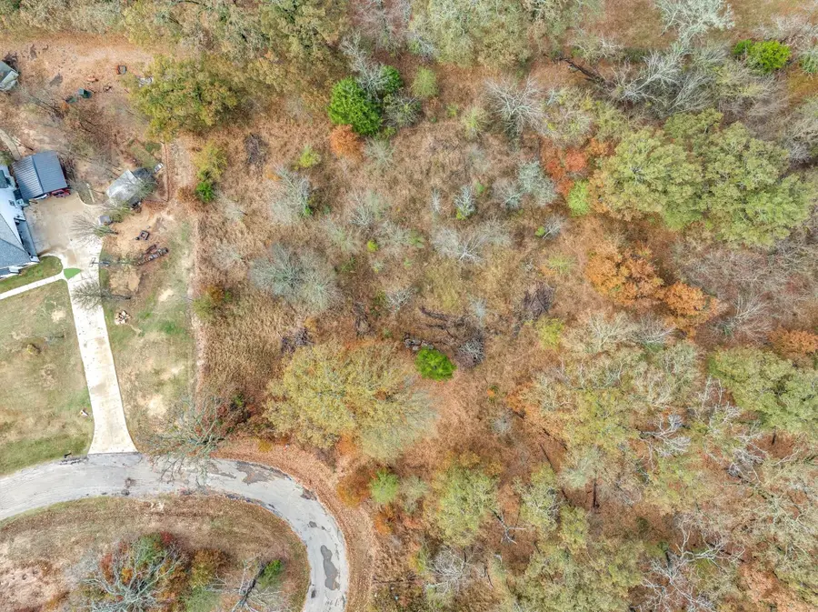 TBD Private Road 6372 Road, Alba, TX 75410 - Image #3