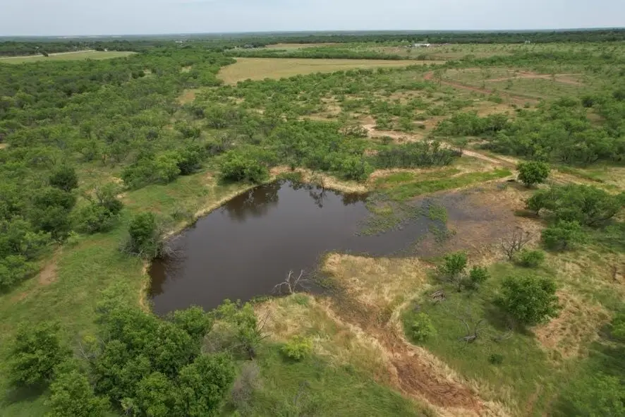 TBD Fm 600, Anson, TX 79501 - Image #3