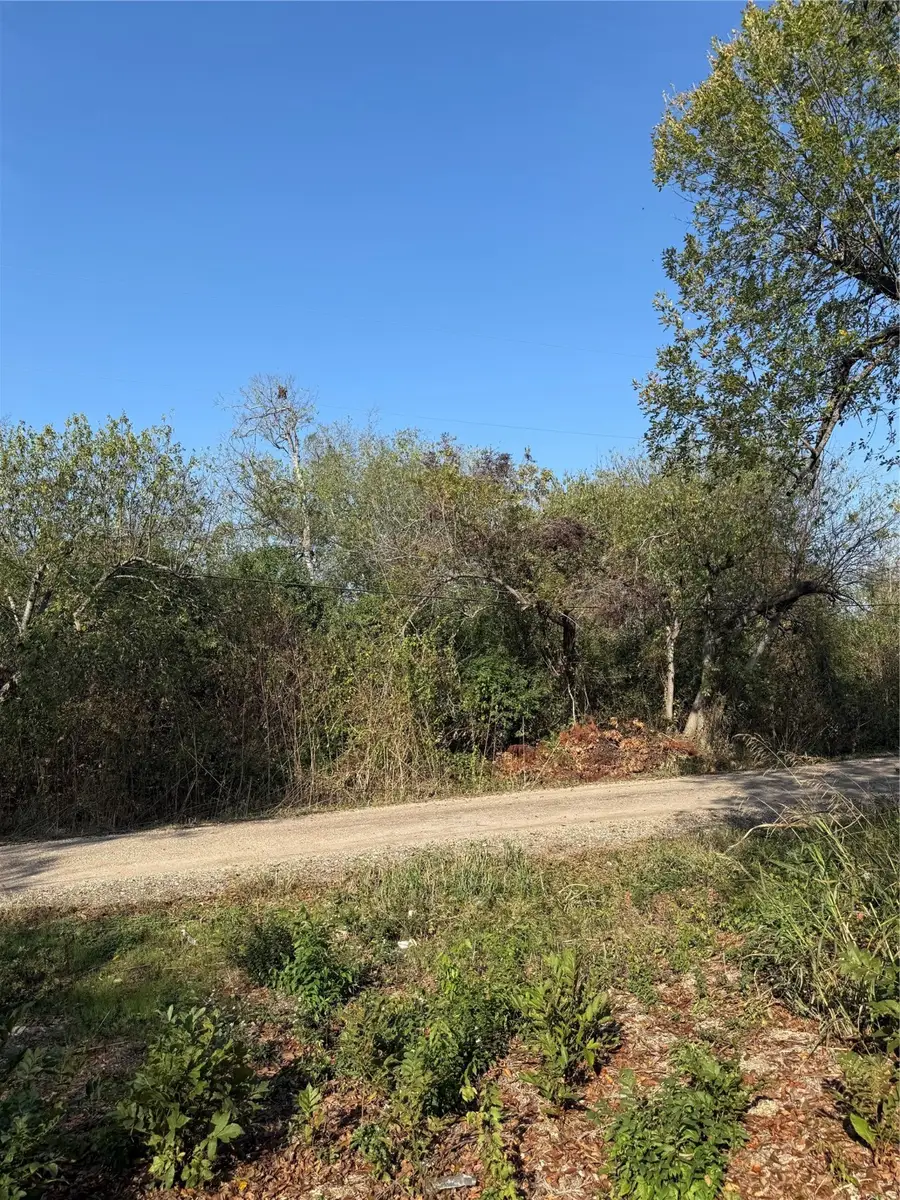 319 Front Street, Holland, TX 76534 - Image #2