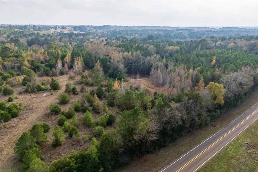 00 Farm To Market Road 228, Grapeland, TX 75844 - Image #3