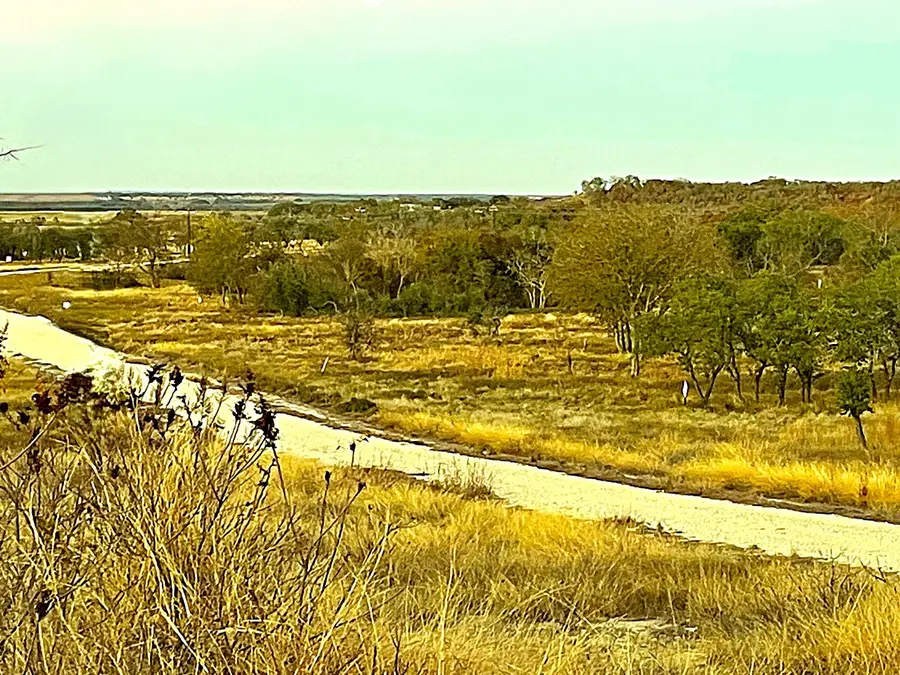 TBD Tract 29 Indian Springs, Indian Gap, TX 76531 - Image #3