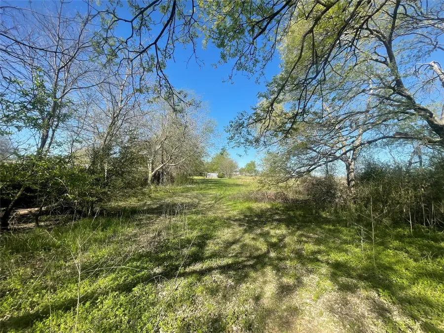 514 W Roosevelt Avenue, Whitney, TX 76692 - Image #3