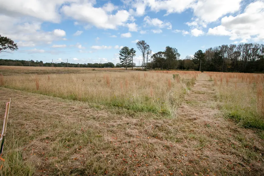 Lt 3 0 TBD Fm 1892, Frankston, TX 75763 - Image #3