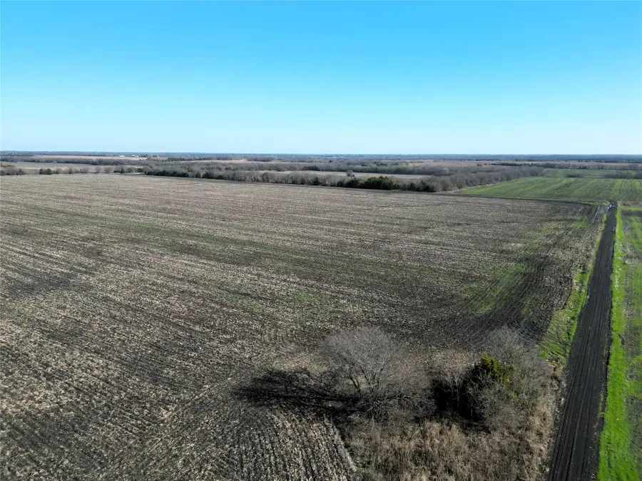 99 ac County Road 4914, Commerce, TX 75428 - Image #3