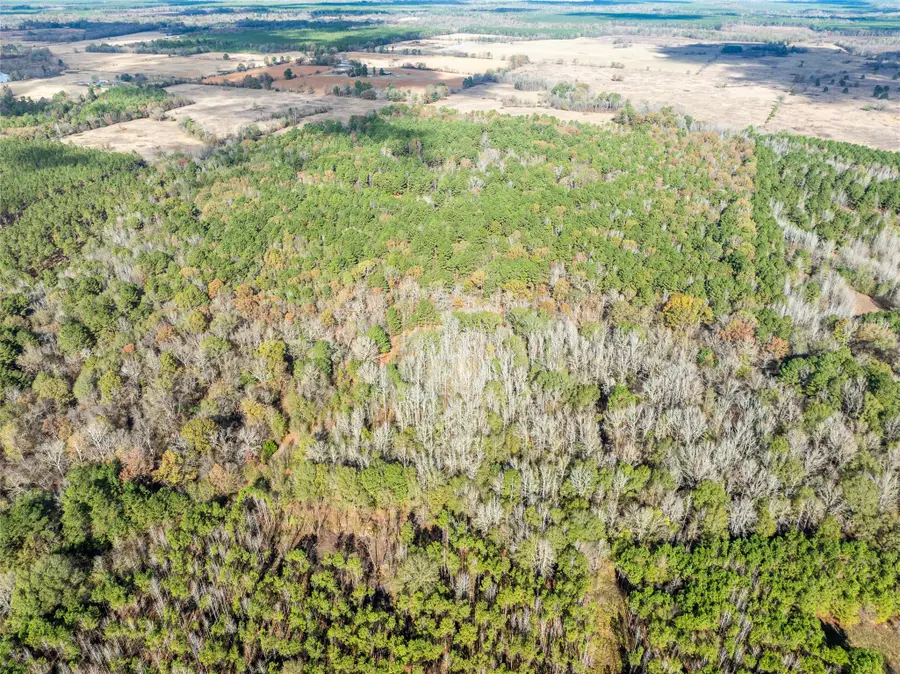 00 Cr 2237, Bagwell, TX 75412 - Image #2