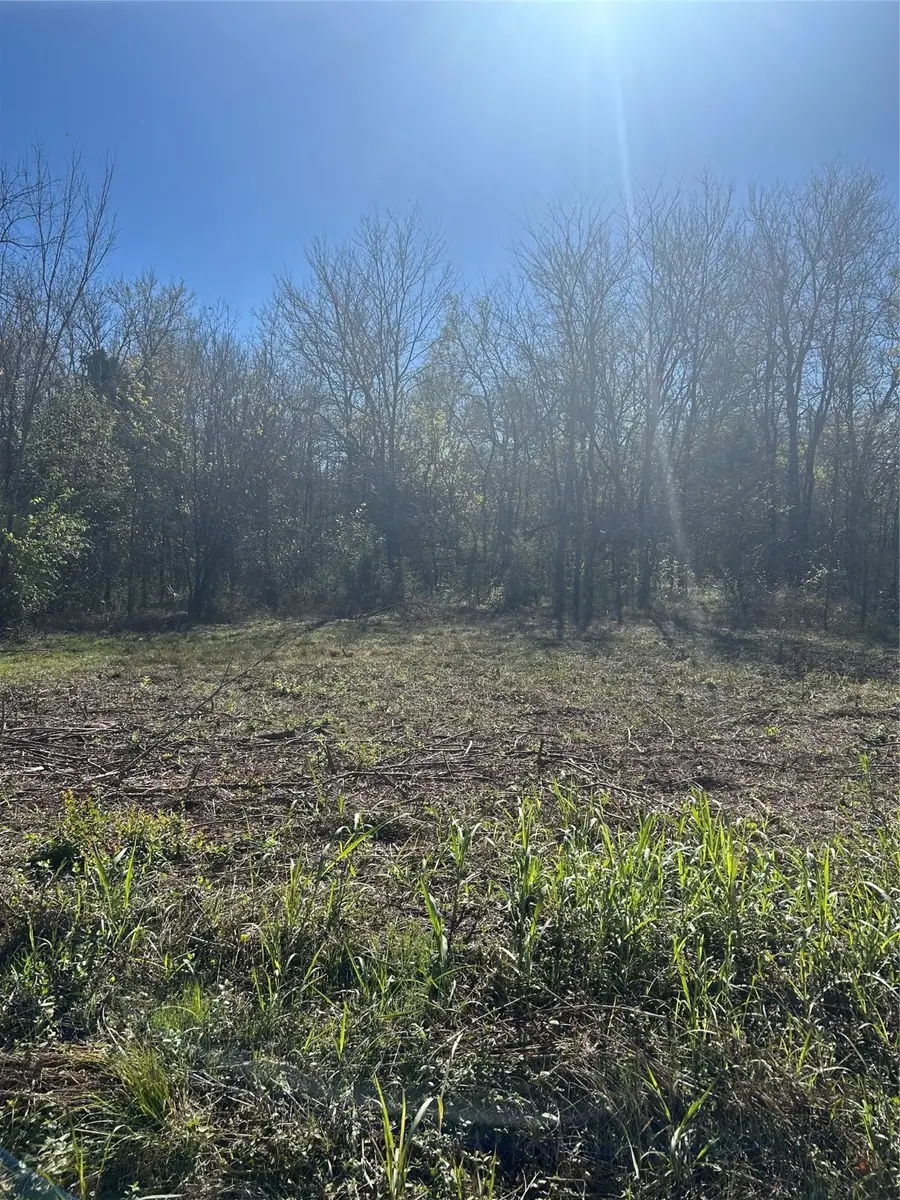 TBD Cr 27300, Honey Grove, TX 75446 - Image #3