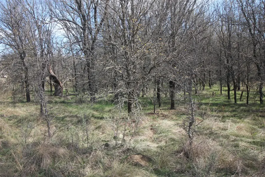 Lot 21 Cheyenne Drive, Bridgeport, TX 76426 - Image #2