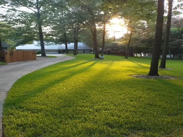 190 County Road 2452, Leesburg, TX 75451 - Image #1