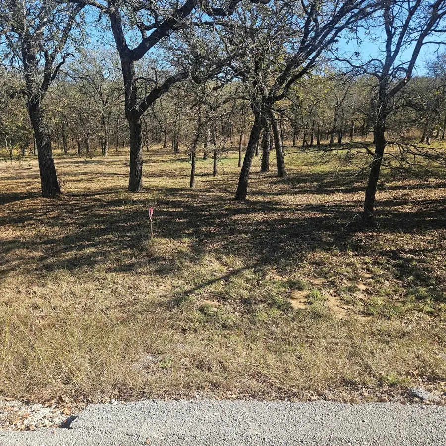 196 Johnston Lane, Runaway Bay, TX 76426 - Image #3
