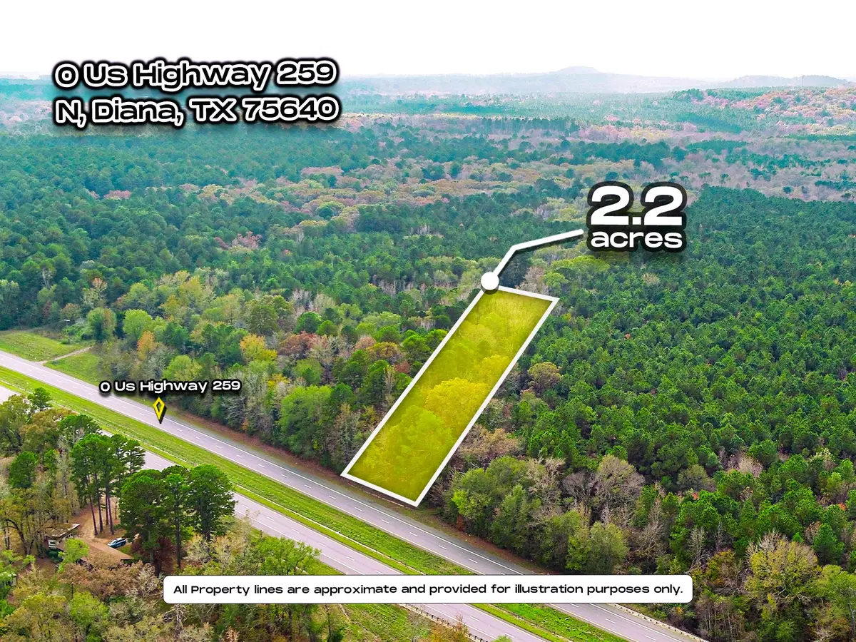 0 Us-259 N, Diana, TX 75640 - Image #1