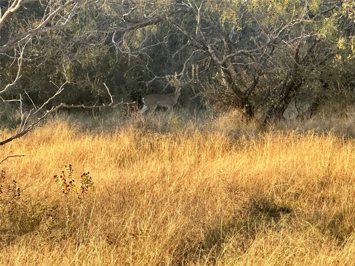 2112-C County Road 126, Gordon, TX 76453 - Image #1