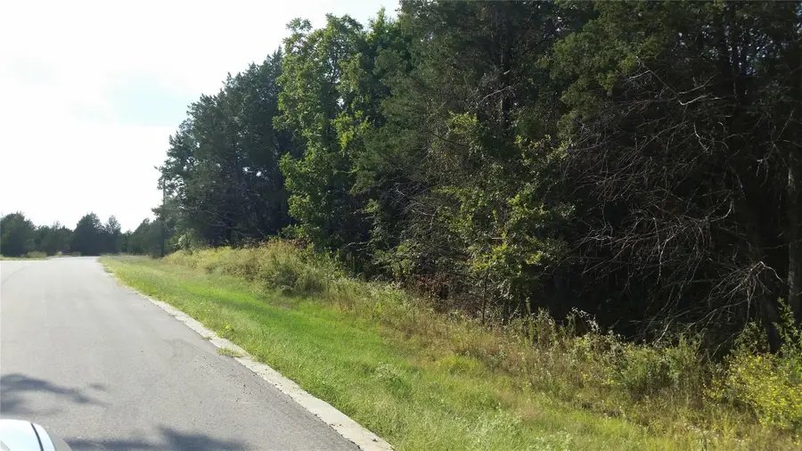 lot 16 Dublin Circle, Gordonville, TX 76245 - Image #2