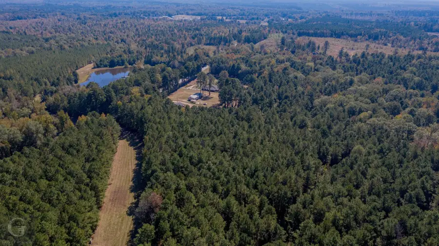 0 Hwy 159 Highway, Minden, LA 71055 - Image #3