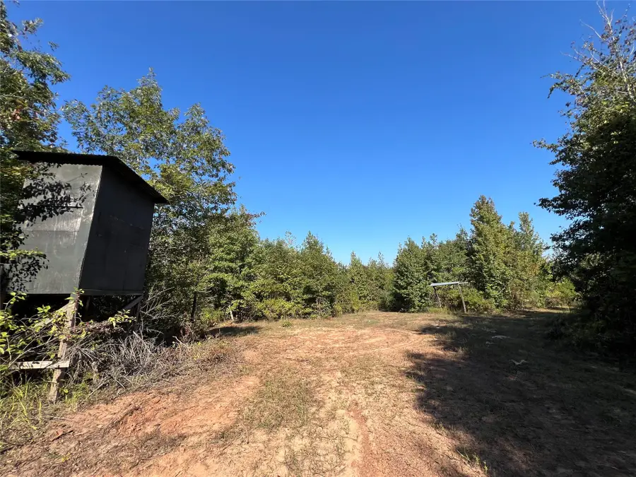 TBD Cr 1579, Avinger, TX 75630 - Image #3