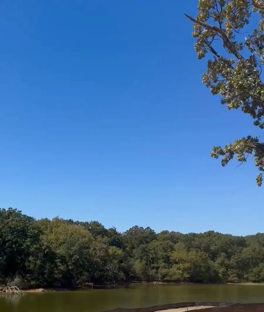 1406 E Royall Boulevard, Malakoff, TX 75148 - Image #2