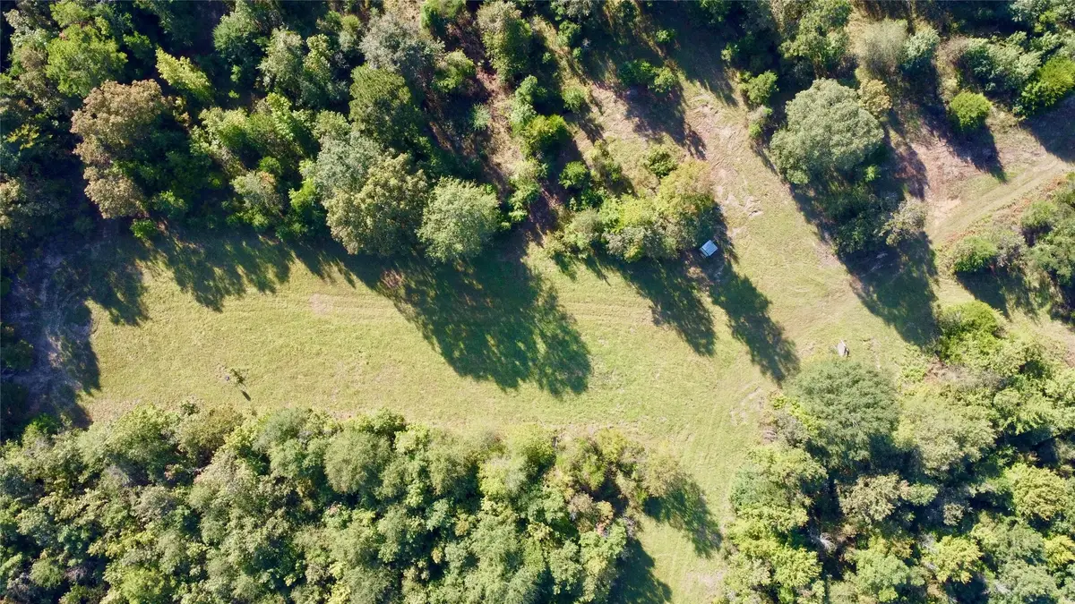 TBD Cr 1579-2, Avinger, TX 75630 - Image #1