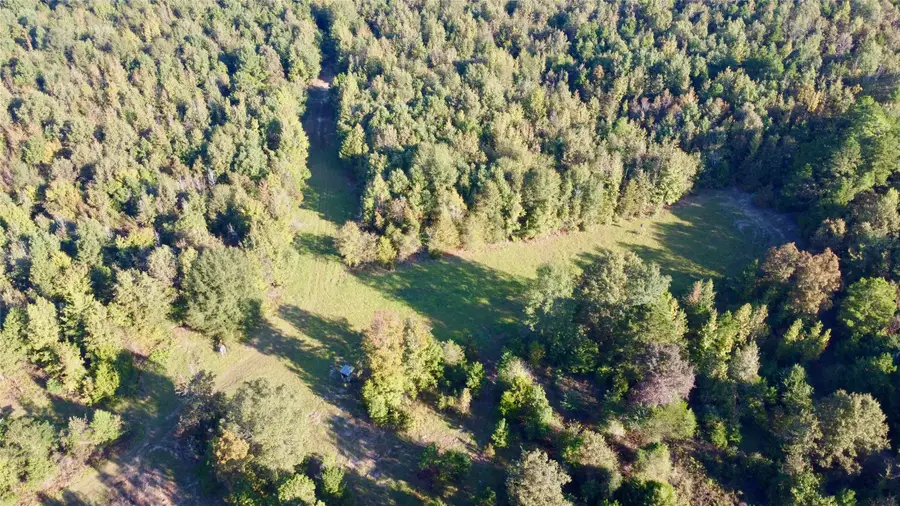 TBD Cr 1579-2, Avinger, TX 75630 - Image #3