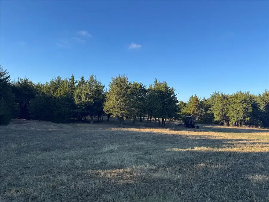 37.50 Acres Farm Road 38, Honey Grove, TX 75446 - Image #3