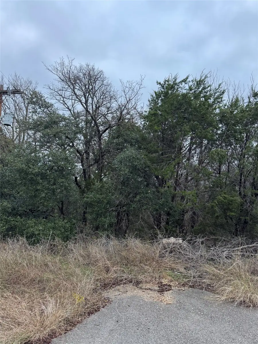 1013 Comanche Cove Drive, Granbury, TX 76048 - Image #2