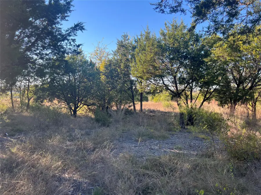 1000 Carsyn Creek Road, Weatherford, TX 76087 - Image #2