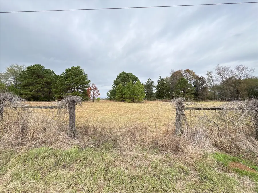TBD Cr 4301 Plainview Rd, Omaha, TX 75571 - #2