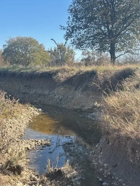 124.75ac Donald Road, Krum, TX 76249 - Image #2