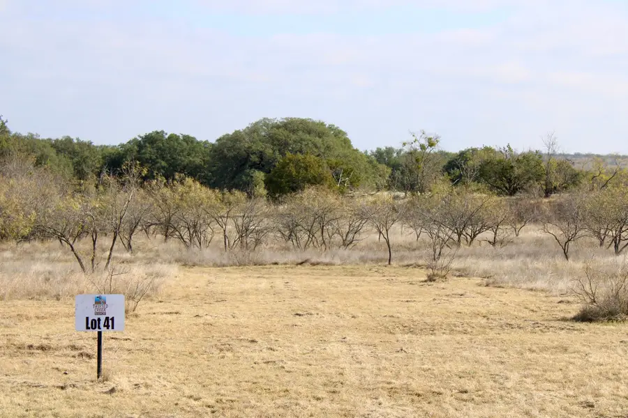 Lot 41 County Road 266, Gustine, TX 76455 - Image #3